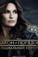 Закон и порядок. Специальный корпус