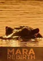 Мара: Возрождение