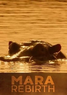 Мара: Возрождение