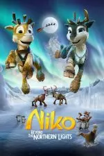 Niko : À la recherche des aurores boréales