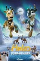 Нико: За Северным сиянием