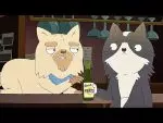 Trailer of the animated series “Kevin”: a neurotic cat searches for himself starting April 20
