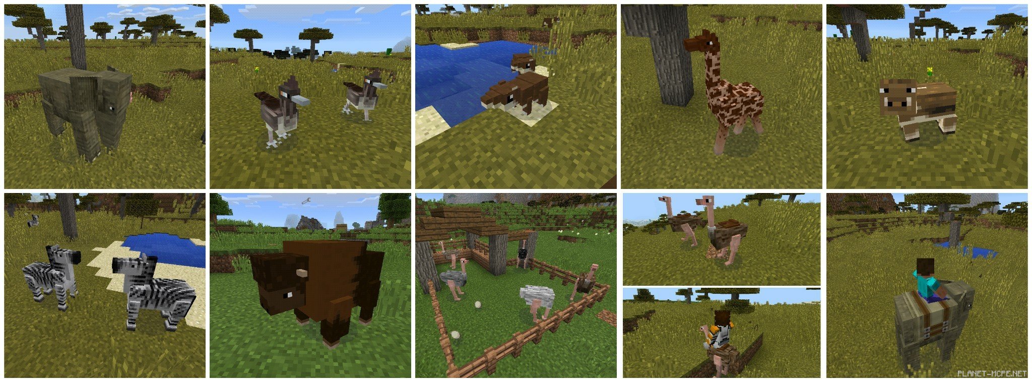 Minecraft 1.20 моды животных. Мод mo creatures 1.12.2. Мод mo creatures 1.16.5. Животные в МАЙНКРАФТЕ моды. Майнкрафт животные.