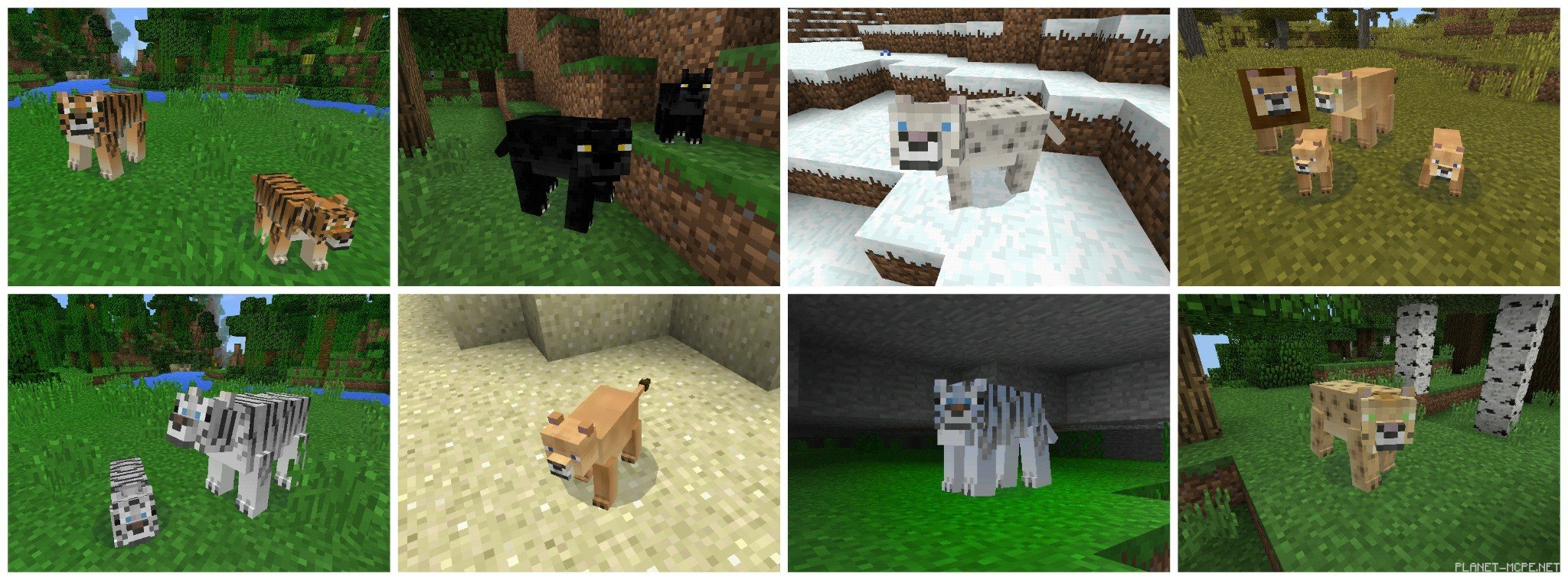 игры майнкрафт где есть волки львы и всякие животные бесплатно #3