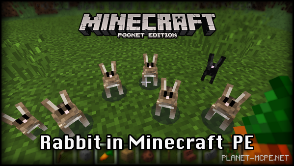 В Minecraft PE 0.13 будут добавлены кролики!