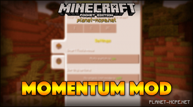 Momentum