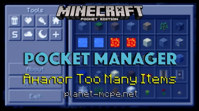 Pocket Manager