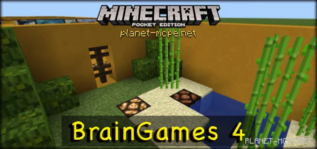 Карта BrainGames 4