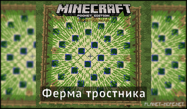 Ферма тростника [Гайды Minecraft PE]