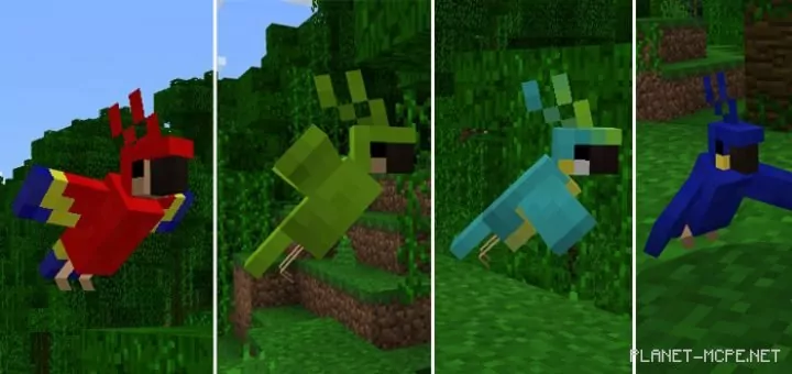 Мод Minecraft PC Parrots 1.0.8/1.0.0