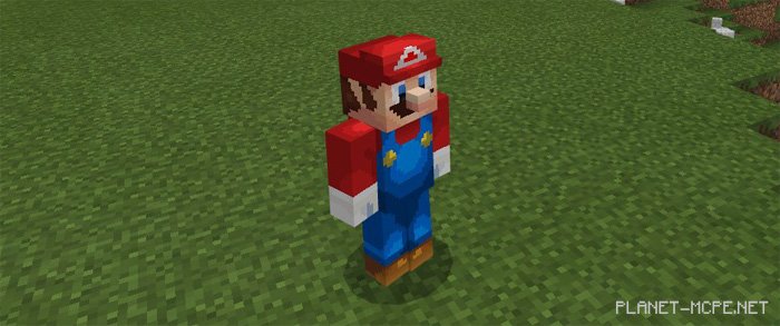 Mario Craft