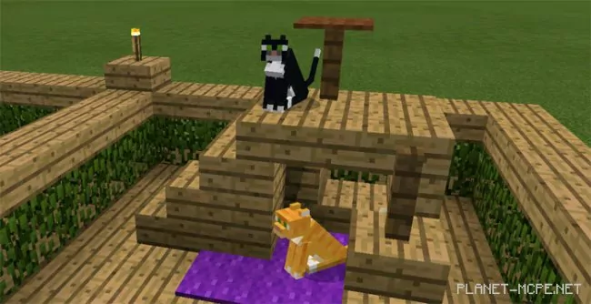 Карта 30 Animal Home Designs [Творчество] 1.1.0.9+