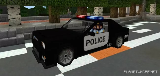 Police Car