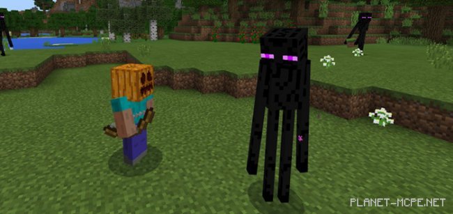 Enderman Pet