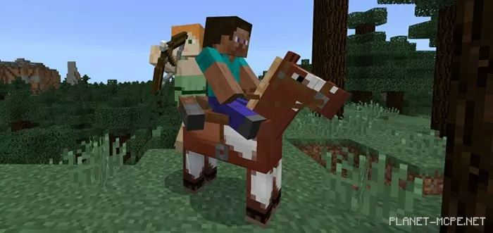 2 Player Horse Riding