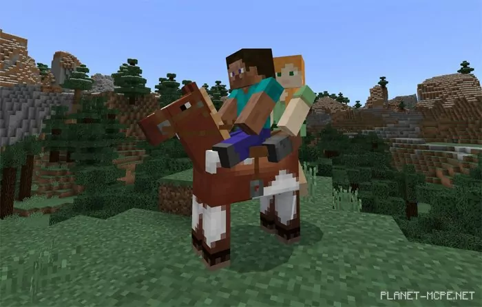 2 Player Horse Riding