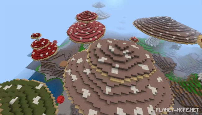 Карта Mushroom Island