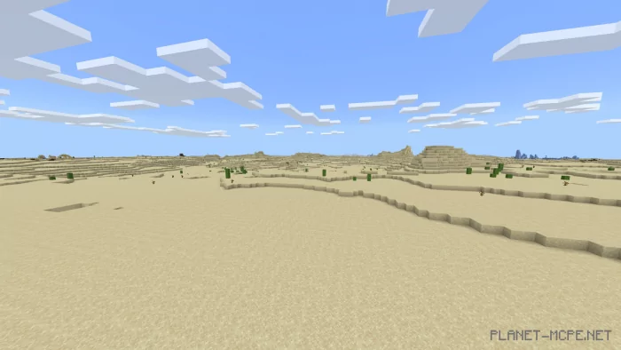 Endless Desert Biome