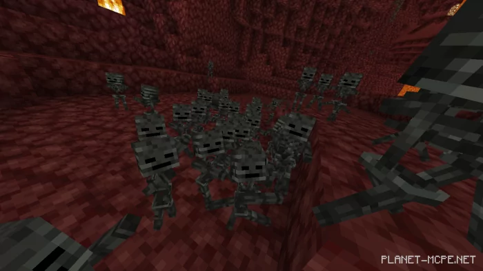 Baby Wither Skeletons