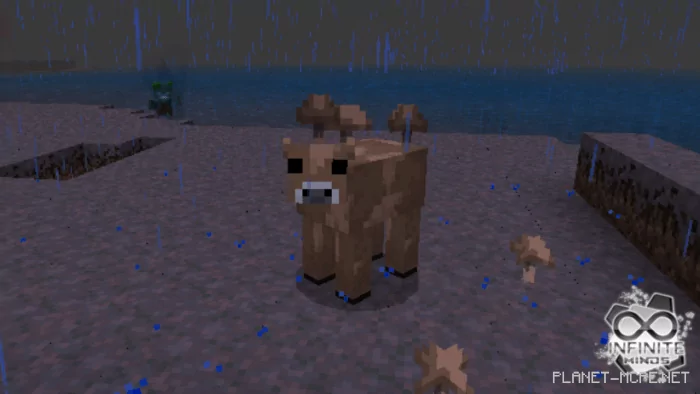 Brown Mooshroom