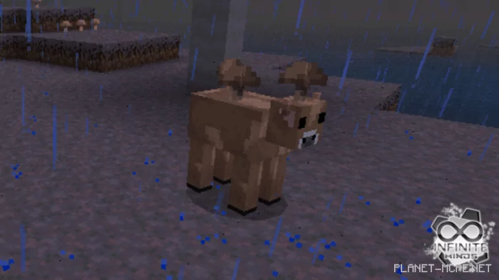 Brown Mooshroom