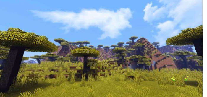 Enhanced Biomes