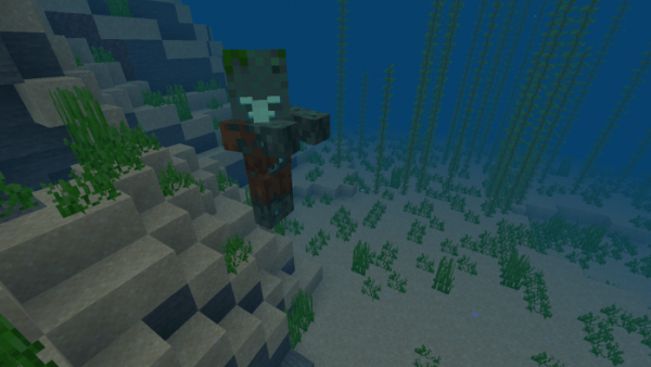 Drowned Villager