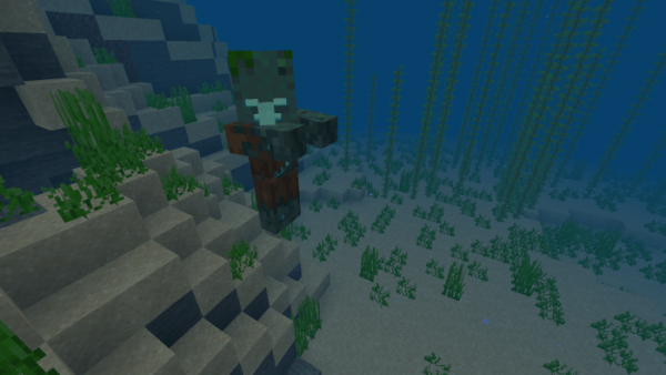 Мод Drowned Villager
