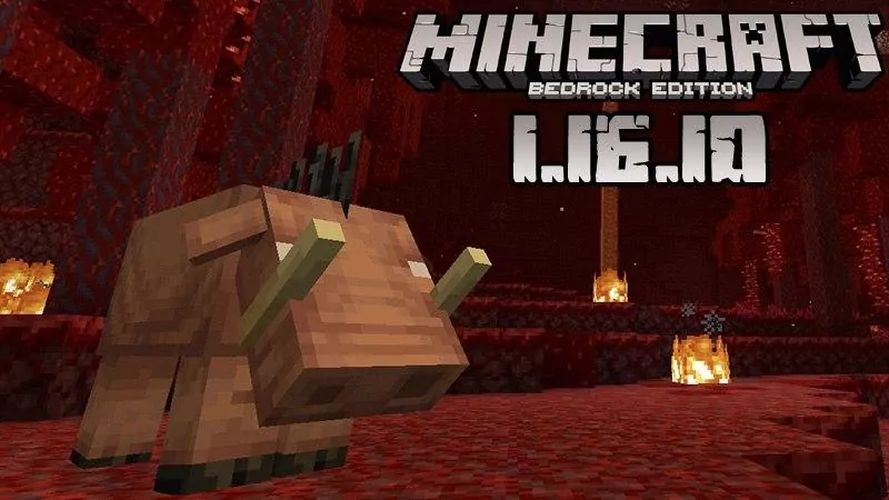 Minecraft 1.16.10 (Полная версия)