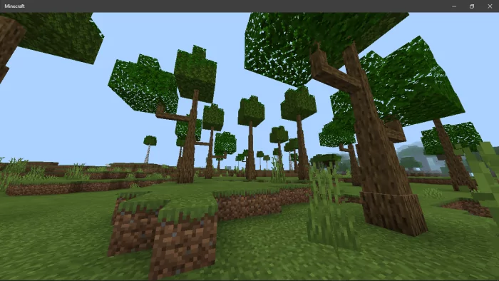 Dynamic Trees