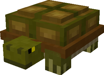 Land Turtle