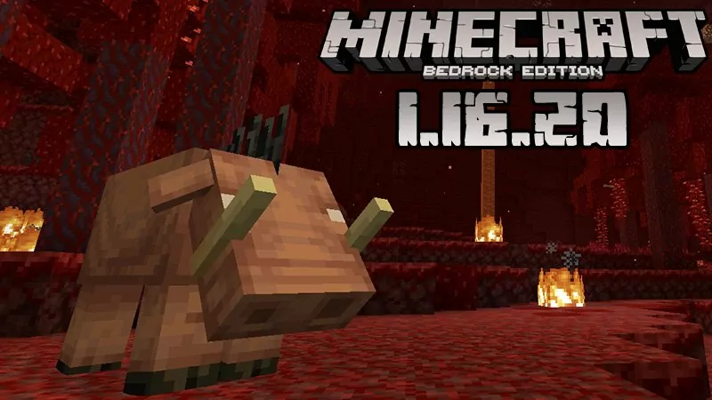 Minecraft PE 1.16.20 (Полная версия)