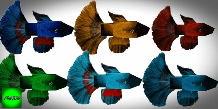 Bettafish