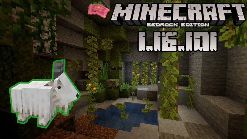 Minecraft 1.16.101 (Полная версия)