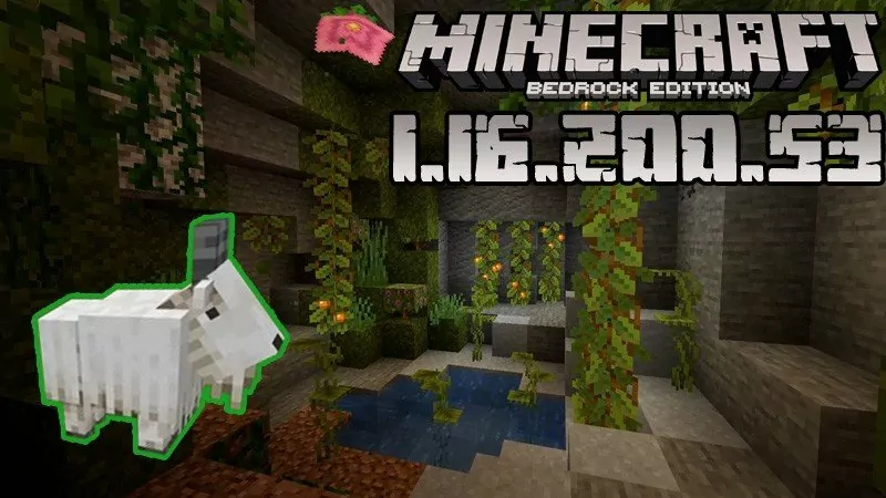 Minecraft 1.16.200.53 (Тестовая версия)