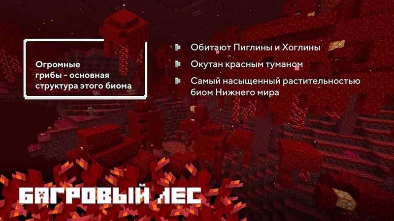 Скачать Майнкрафт 1.16.201 (Полная версия) на Андроид - РЕЛИЗ!